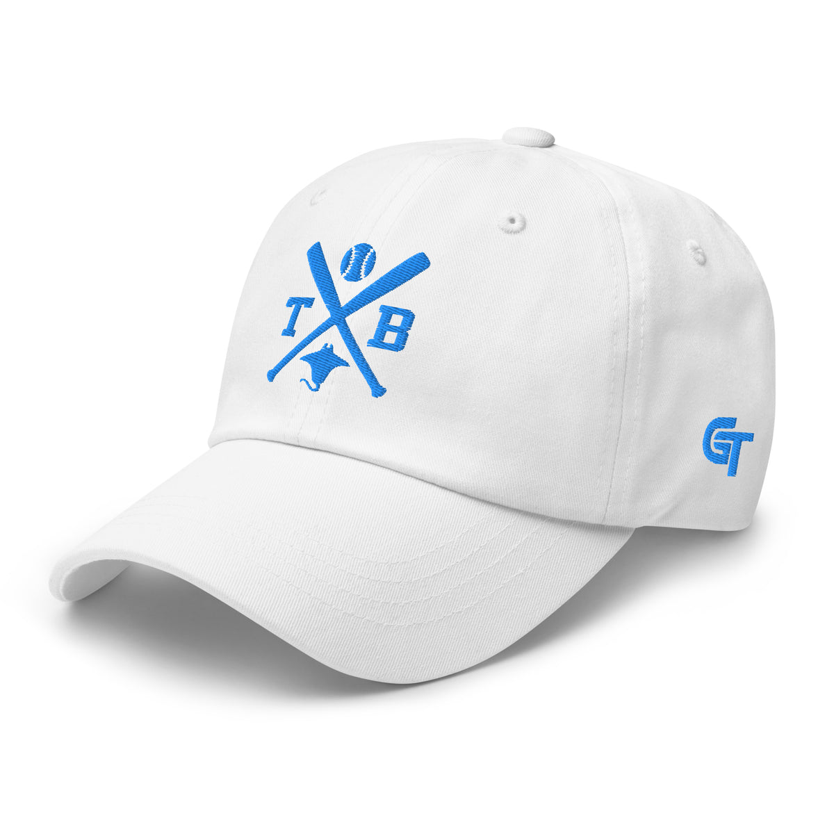Tampa Bay Baseball Hat Retro TB Baseball Bats Dad Cap