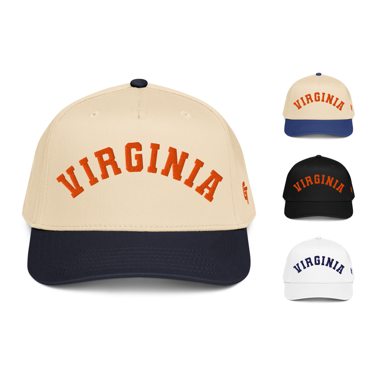 Classic Virginia Snapback Hat Vintage Retro Virginia Arch Cap