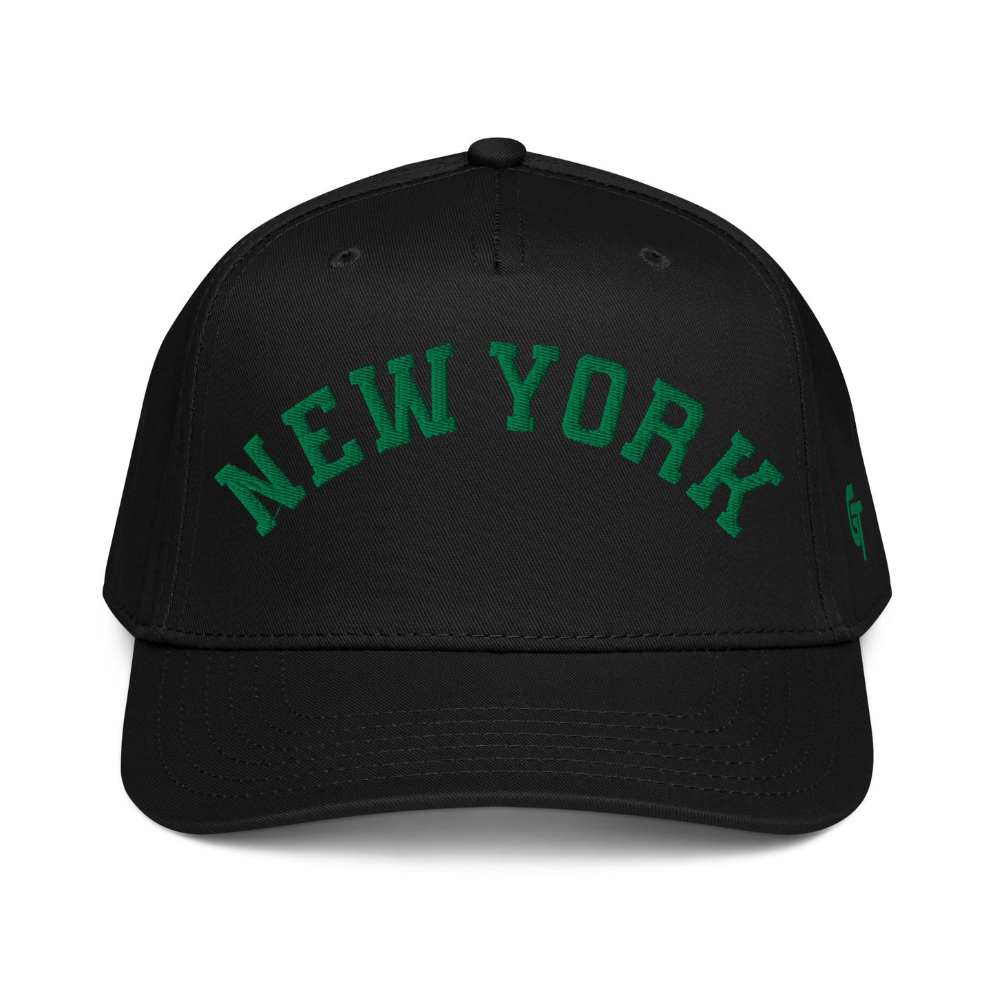 Classic New York Snapback Hat Vintage Retro New York Arch Cap