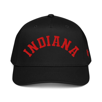 Classic Indiana Snapback Hat Vintage Retro Indiana Arch Cap