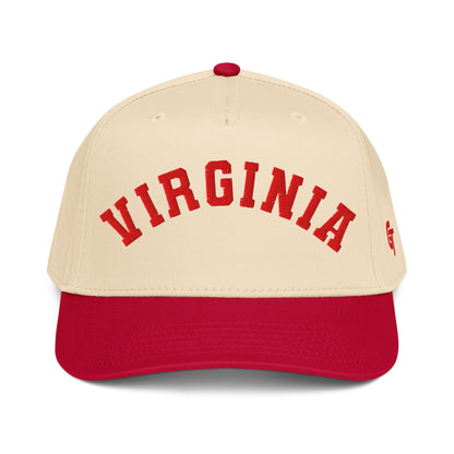 Classic Virginia Snapback Hat Vintage Retro Virginia Arch Cap