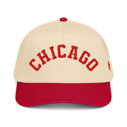 Classic Chicago Snapback Hat Vintage Retro Chicago Arch Cap