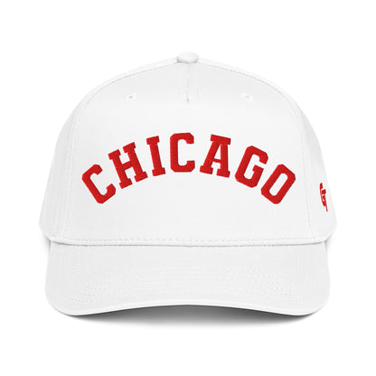 Classic Chicago Snapback Hat Vintage Retro Chicago Arch Cap
