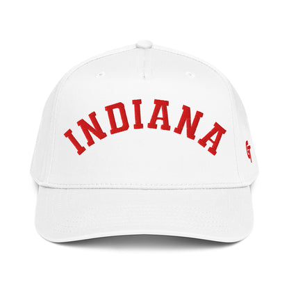 Classic Indiana Snapback Hat Vintage Retro Indiana Arch Cap
