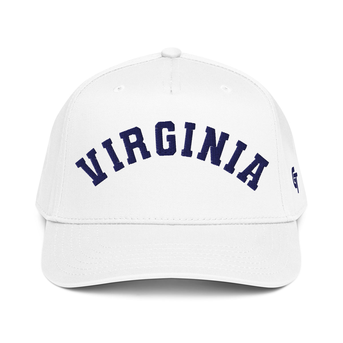 Classic Virginia Snapback Hat Vintage Retro Virginia Arch Cap