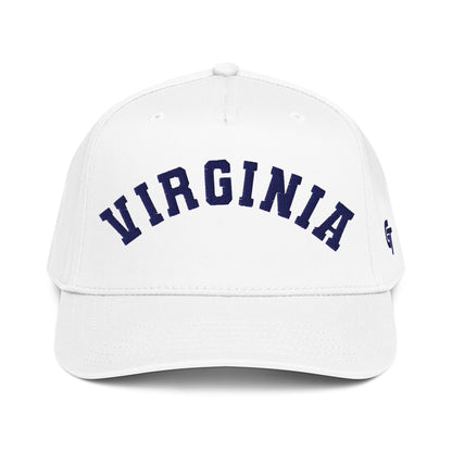 Classic Virginia Snapback Hat Vintage Retro Virginia Arch Cap