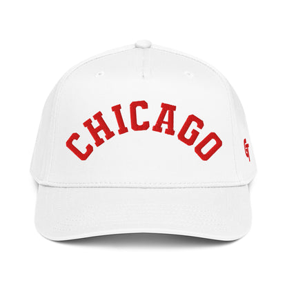 Classic Chicago Snapback Hat Vintage Retro Chicago Arch Cap