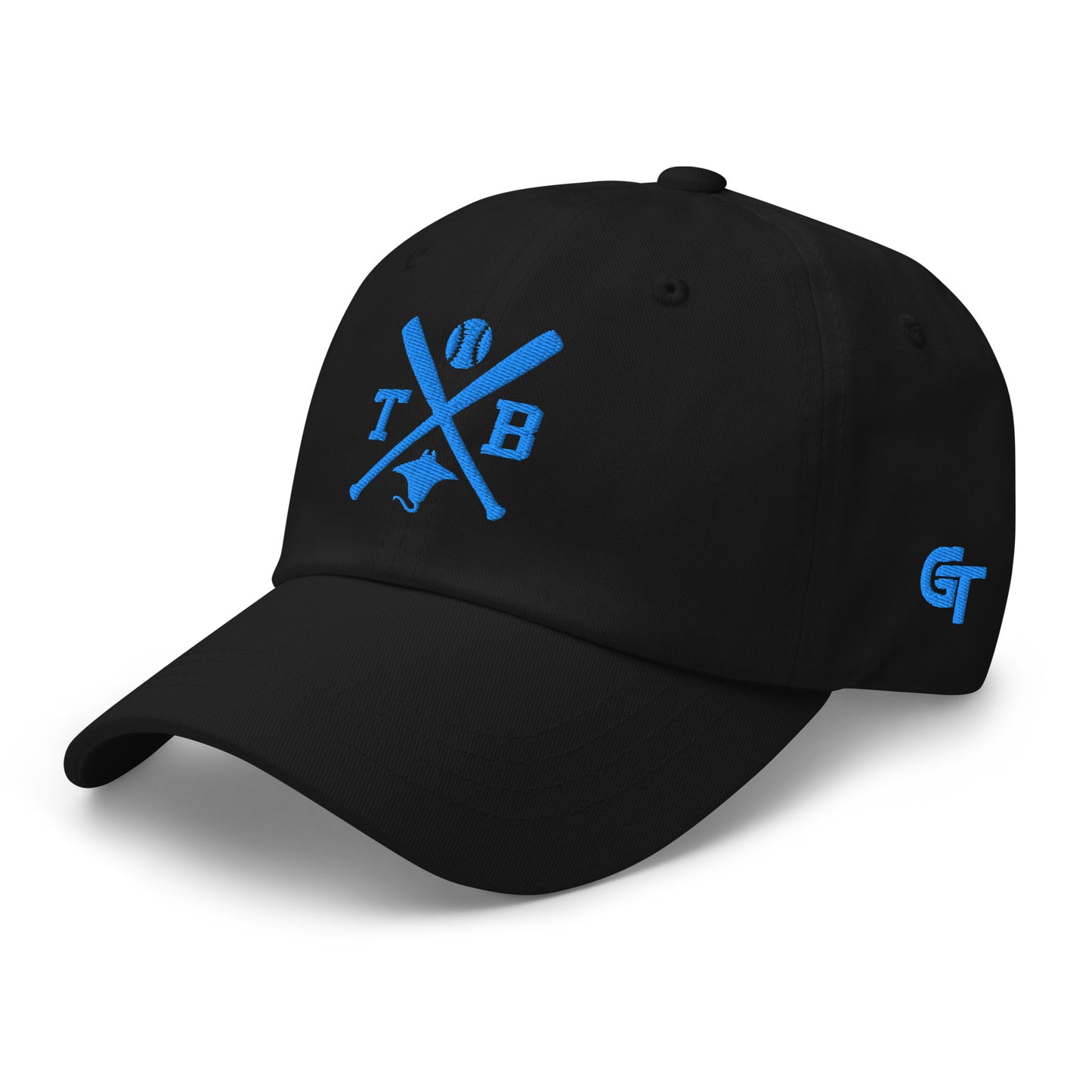 Tampa Bay Baseball Hat Retro TB Baseball Bats Dad Cap