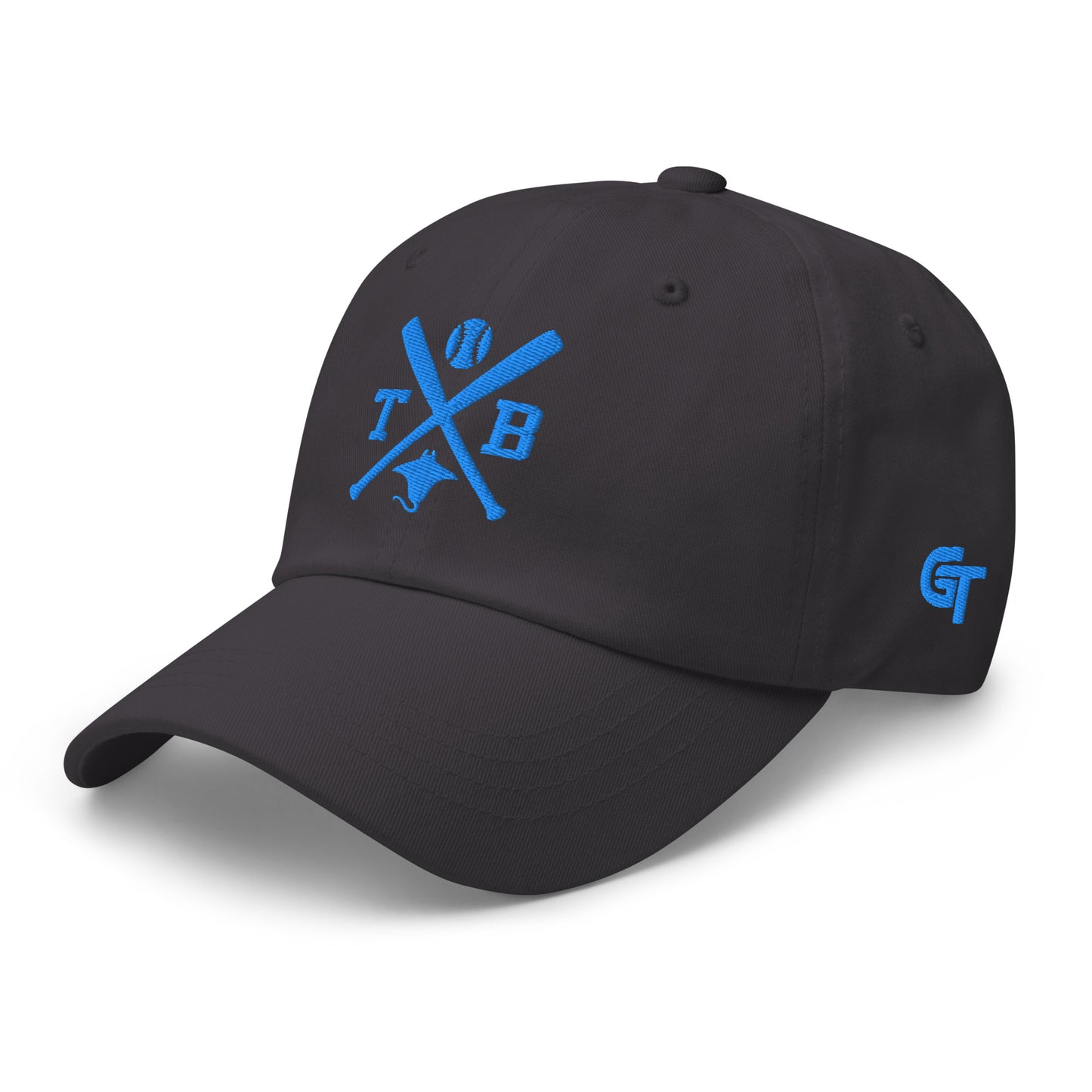 Tampa Bay Baseball Hat Retro TB Baseball Bats Dad Cap