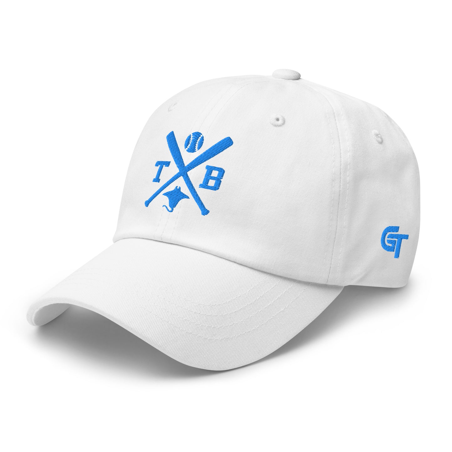 Tampa Bay Baseball Hat Retro TB Baseball Bats Dad Cap