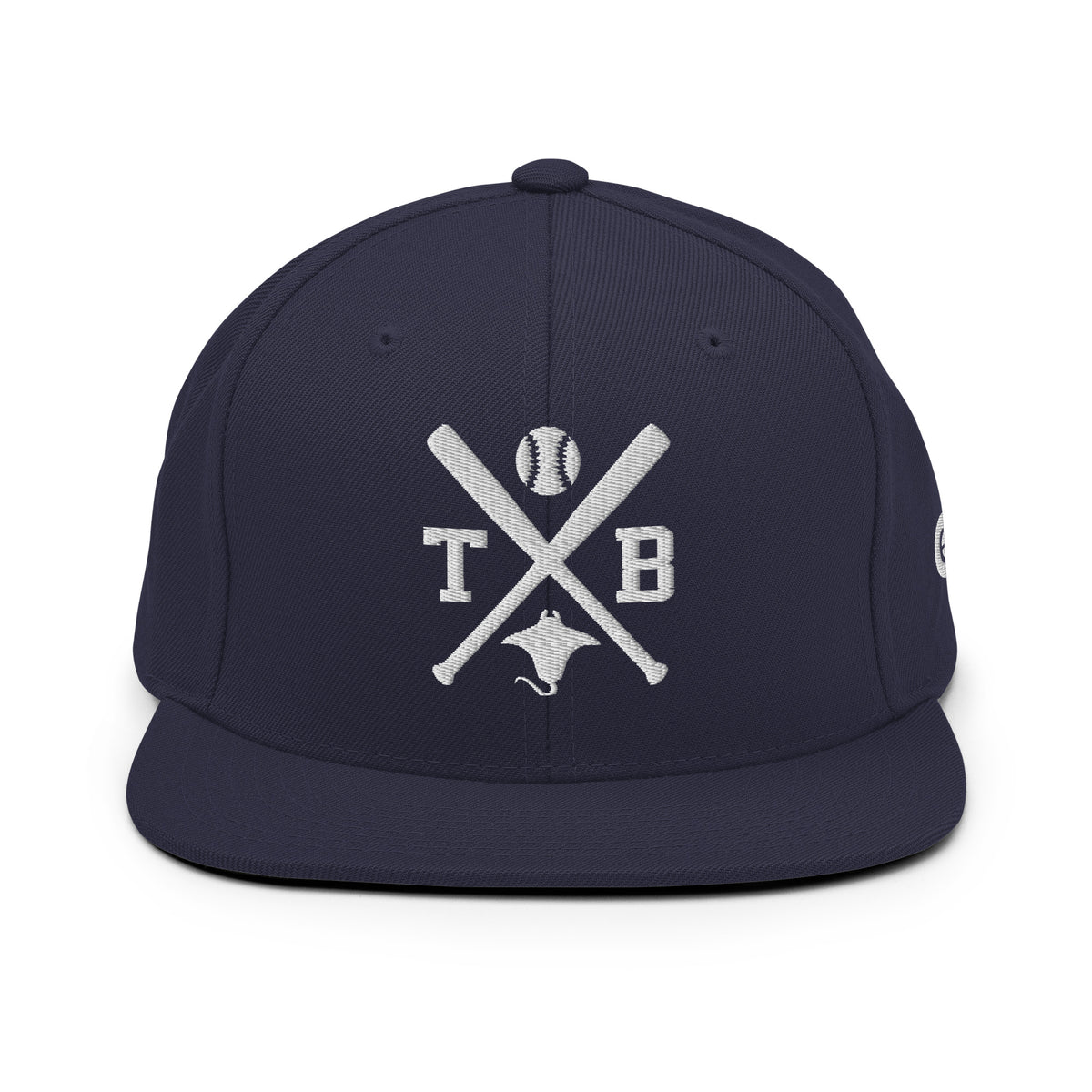 Tampa Bay Baseball Snapback Cap Retro TB Baseball Bats Hat
